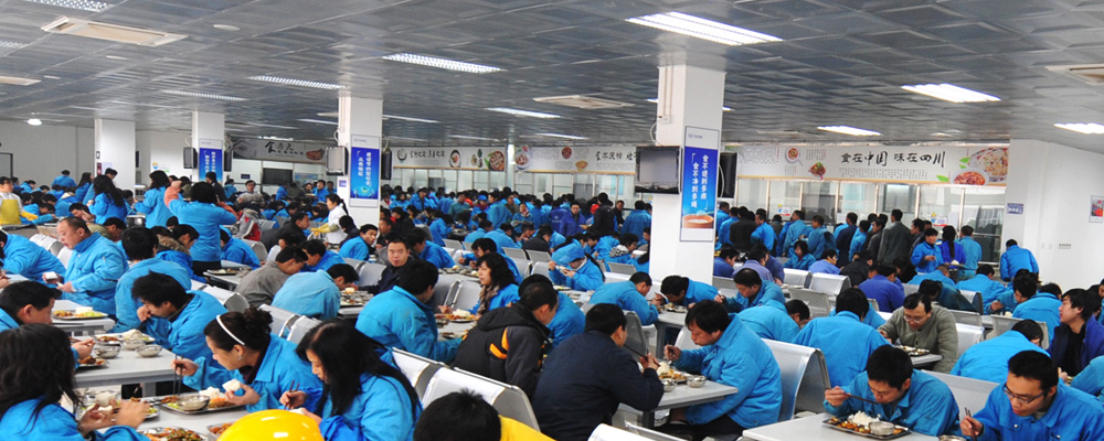 德陽市東汽實業(yè)開發(fā)有限責(zé)任公司
